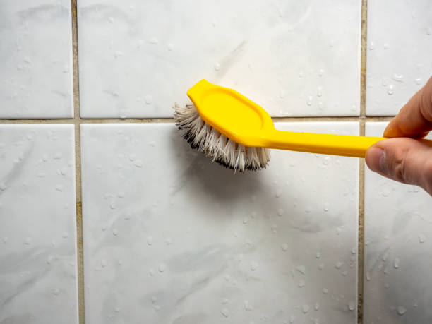 Best Affordable Mold Removal  in Shelton, NE