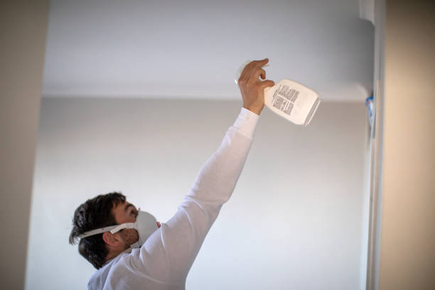 Best Black Mold Removal  in Shelton, NE