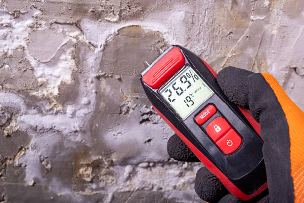 Best Water Damage Restoration  in Shelton, NE